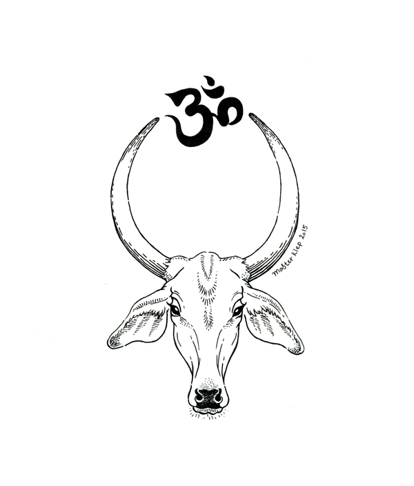 Корова Зебу и Ом