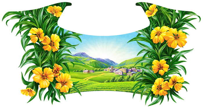 Иллюстрация для лимонада ТМ "Напитки из Черноголовки". Тархун.