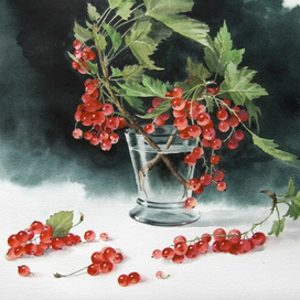 Красная смородина