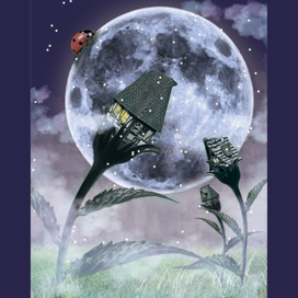 полная луна