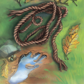 фон для карт