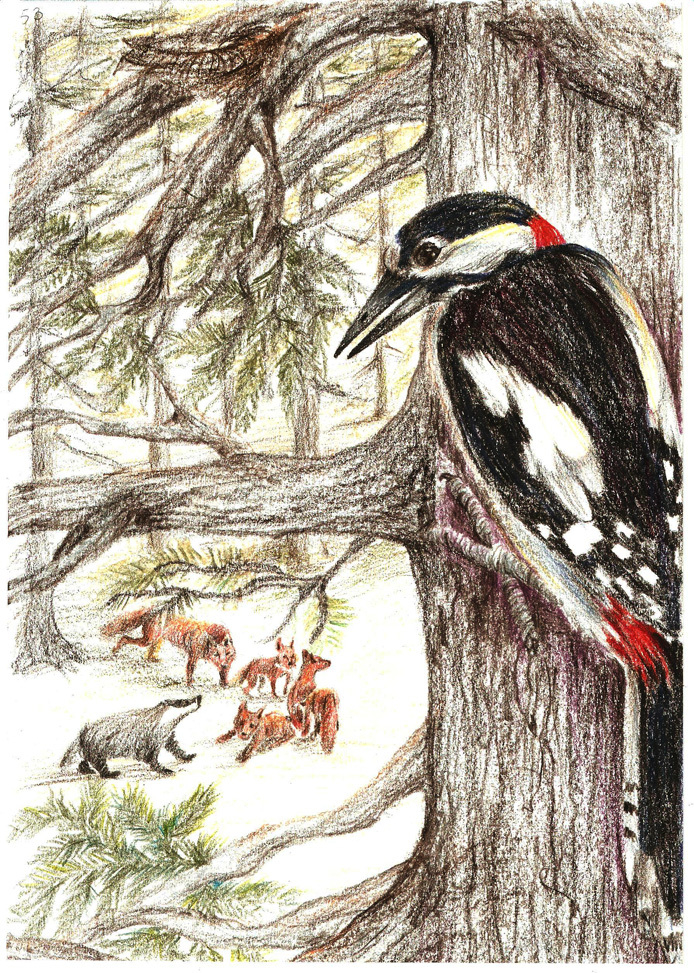 К книге "Tocca-cielo" 