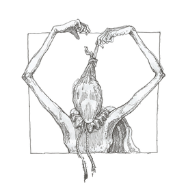 drowned curly (detail)