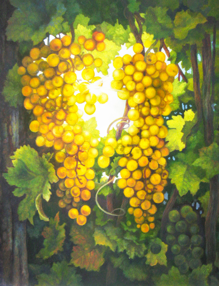 Гроздь винограда и свет янтаря