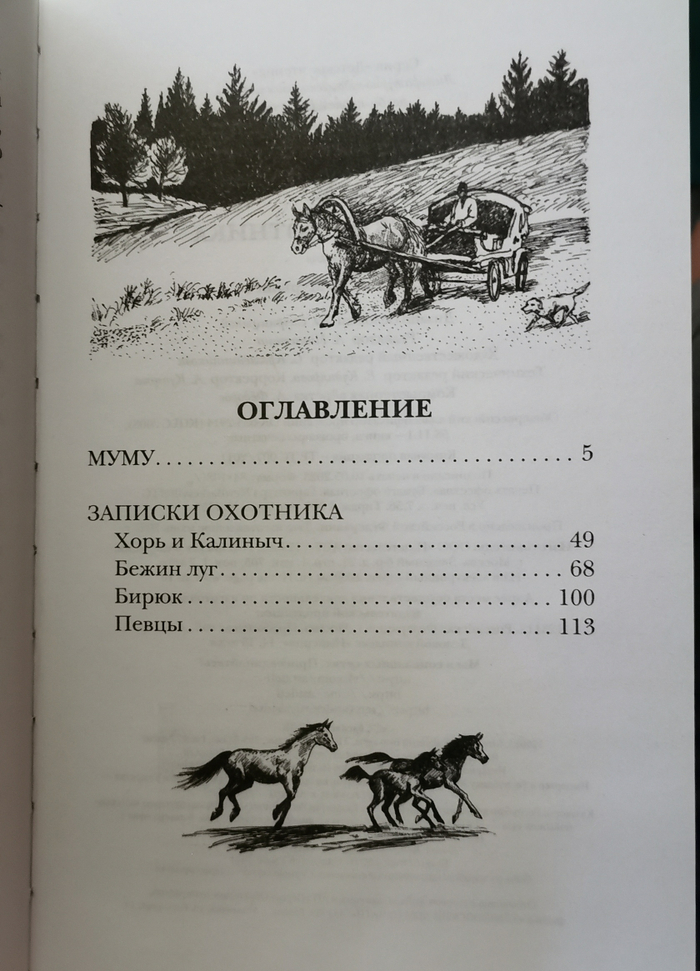 Иллюстрации Мурышева Валентина. "Записки охотника" "Муму" Иван Тургенев 