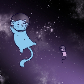 Space Cat