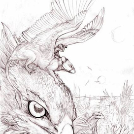 Луарилл - иллюстрация