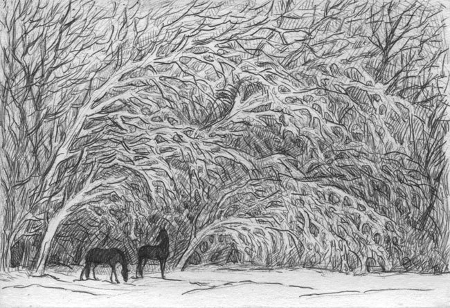 Вспоминая о конных походах