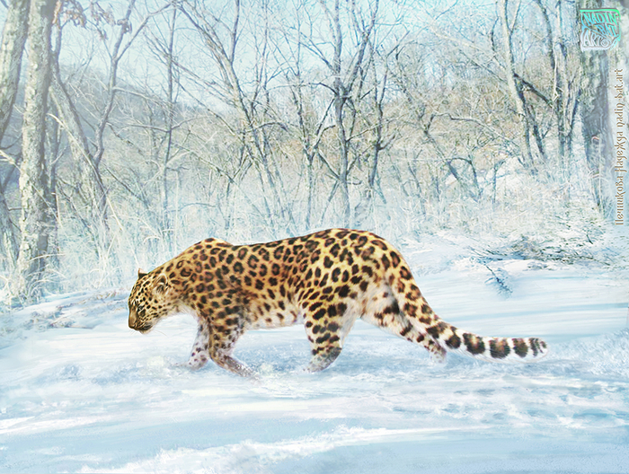 Леопардесса Памела для Памелы Андерсон. 