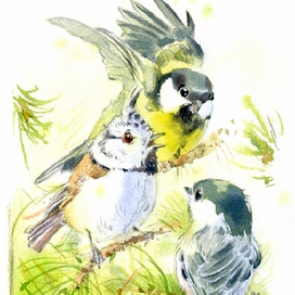 Зинька в компании других синичек