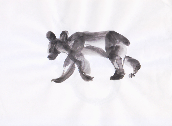 медвежонок