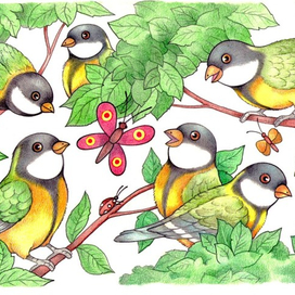 Найди всех птиц(книжка с заданиями)