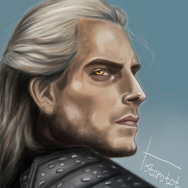 The Witcher