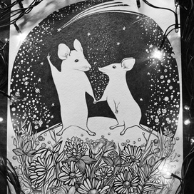 Магическая ночь