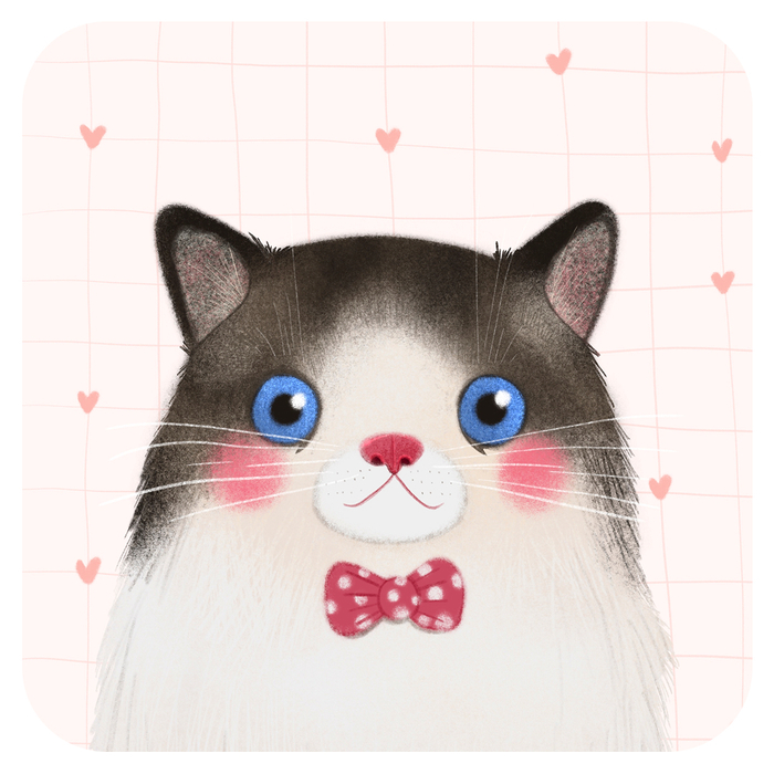 Нарядный Котик