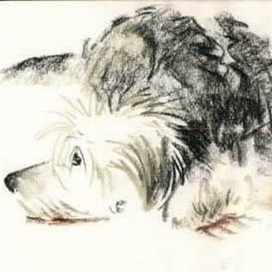 грустный Гриша