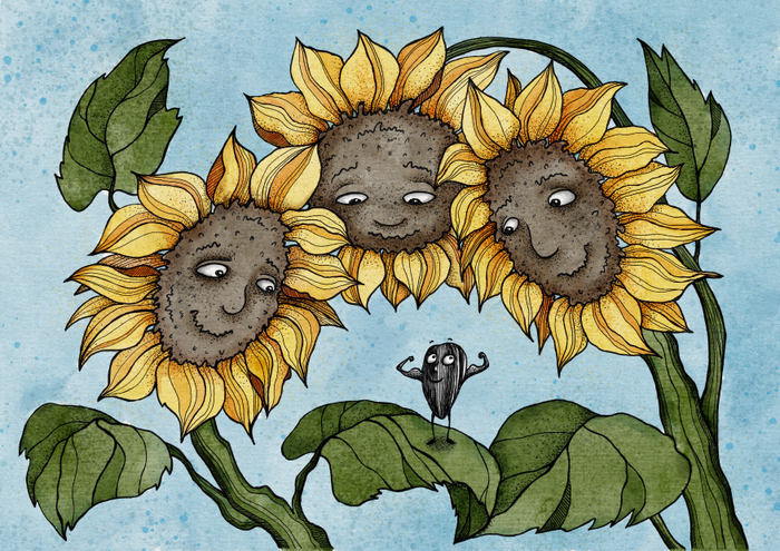 Подсолнухи