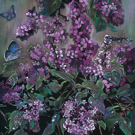 Цветущая сирень