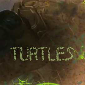 turtles ninja