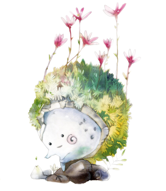 Камнеломка