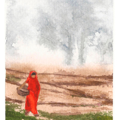 Рисовые поля