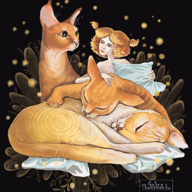 Принцеса снов