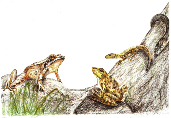 К книге "Tocca-cielo" 