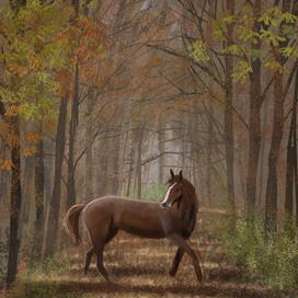 Лишь в осеннем лесу