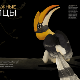 Разворот журнала