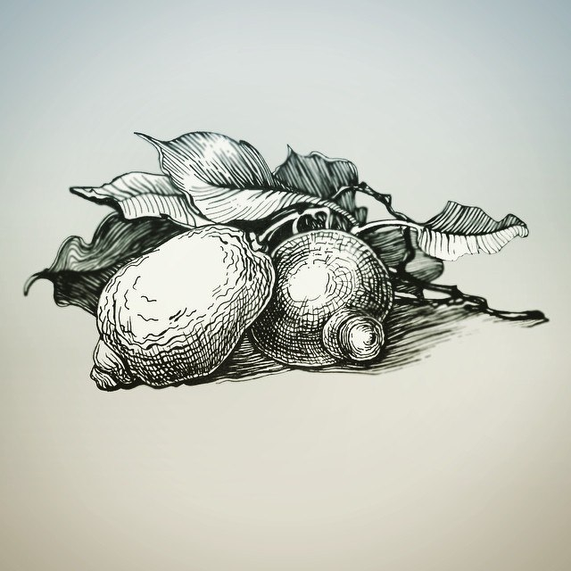 иллюстрация для kateberrybookmarks