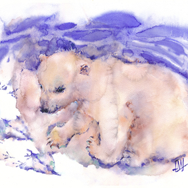 Первые шаги белого медвежонка