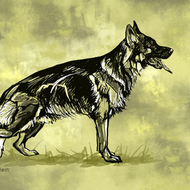 Waiko von der Zenteiche