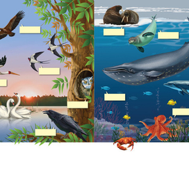 Мир который я люблю