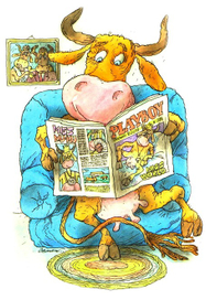 иллюстрация к календарю