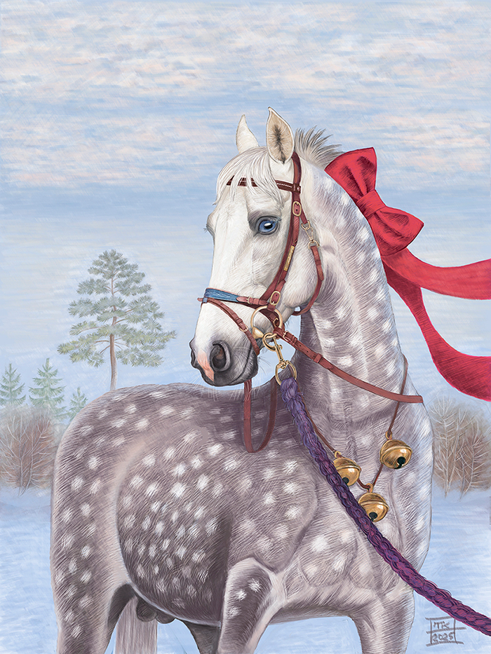 Серый в яблоках Камыш, Декабрь