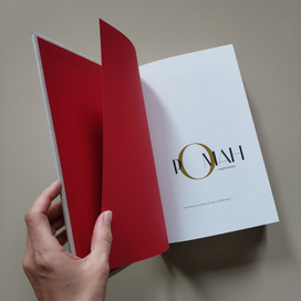 Роман с картинками