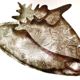 Морская раковина