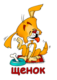 Щенок
