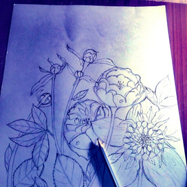 Пионы расцветают..