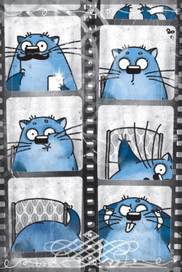 Трюфель. котик и фотик