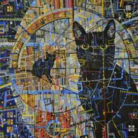 Чёрный кот.