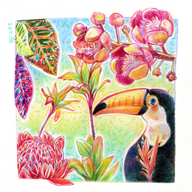 "Разные тропические растения и тукан)"