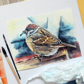 Солнечный воробушек