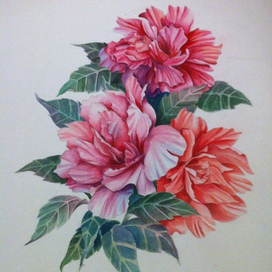 Цветочная композиция.