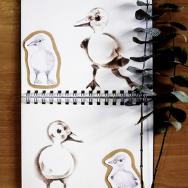 Утиный квартет