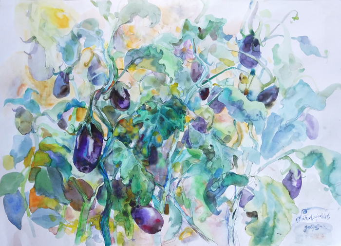 Урожайное баклажанное