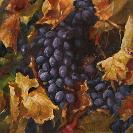 Осенний виноград