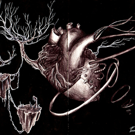 крайности едины, сердце