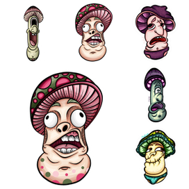 Подборка грибков за осень и зиму 2024