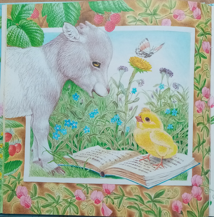 Непонятливый львенок